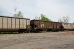 NS 10176
